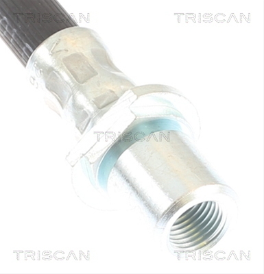 FURTUN FRANA