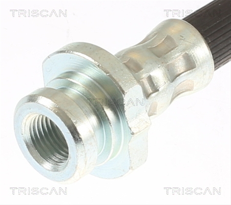 FURTUN FRANA