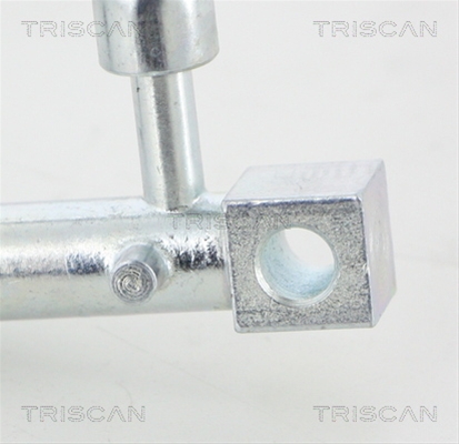 FURTUN FRANA
