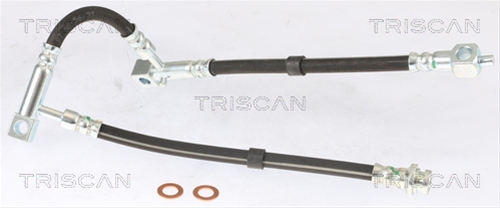 FURTUN FRANA