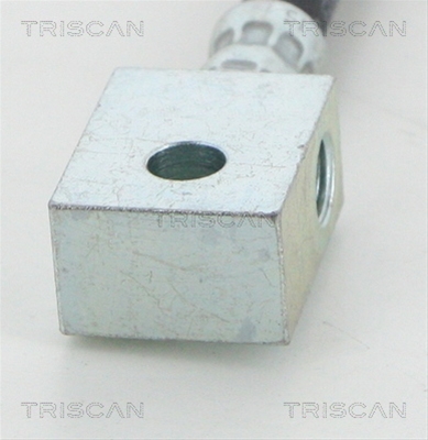 FURTUN FRANA