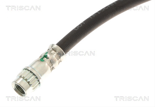 FURTUN FRANA TRISCAN CSNBB