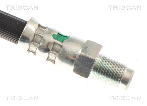 FURTUN FRANA TRISCAN CSNBB