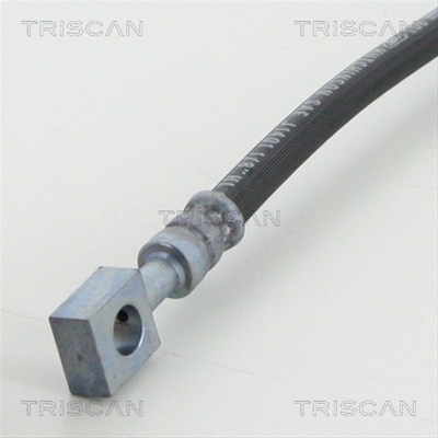 FURTUN FRANA
