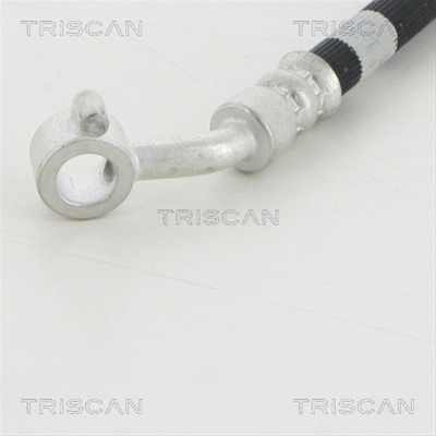 FURTUN FRANA