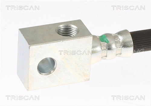 FURTUN FRANA