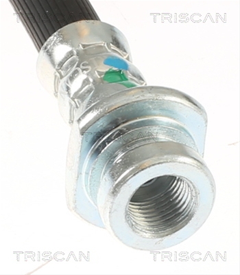FURTUN FRANA