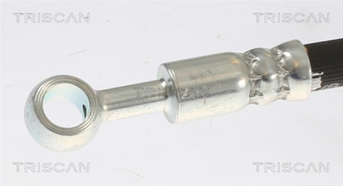 FURTUN FRANA