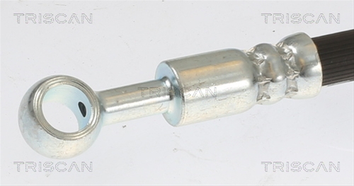 FURTUN FRANA