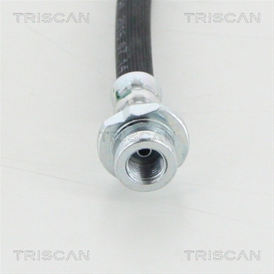 FURTUN FRANA