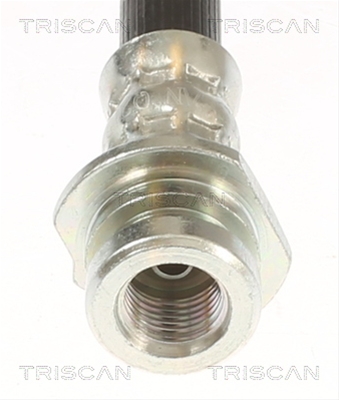 FURTUN FRANA