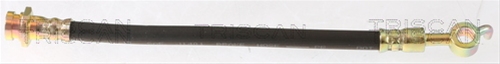 FURTUN FRANA