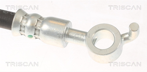 FURTUN FRANA
