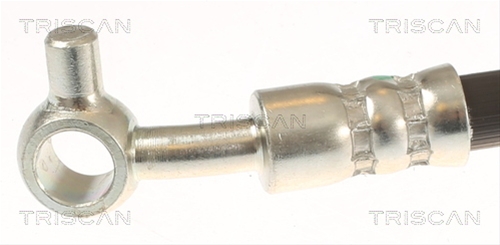 FURTUN FRANA