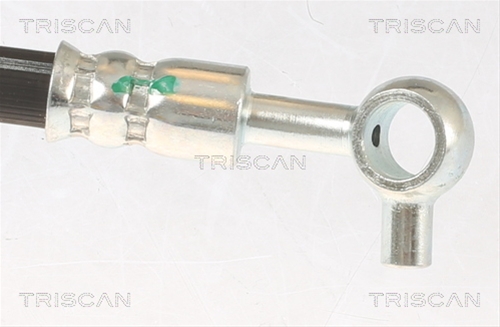 FURTUN FRANA