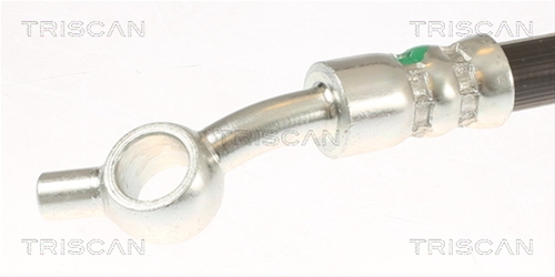 FURTUN FRANA