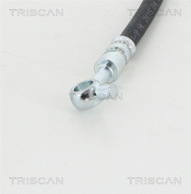 FURTUN FRANA