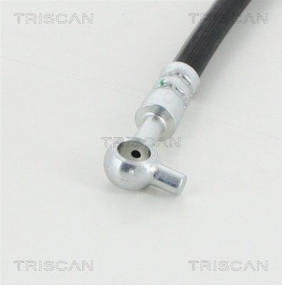 FURTUN FRANA