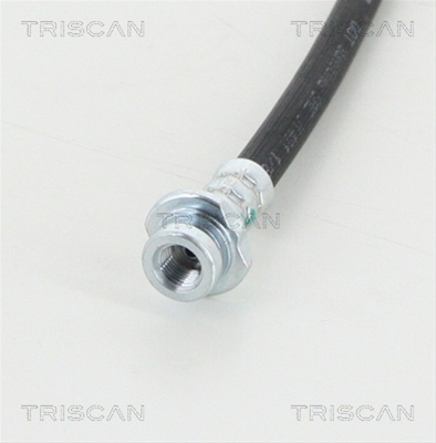 FURTUN FRANA