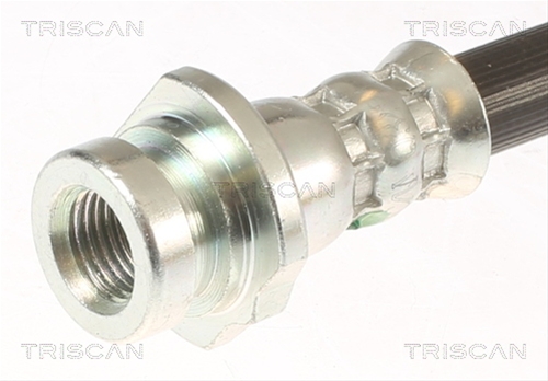 FURTUN FRANA