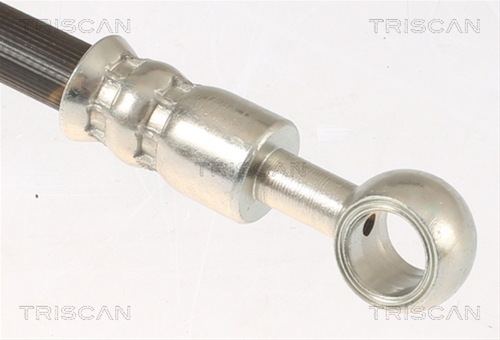 FURTUN FRANA