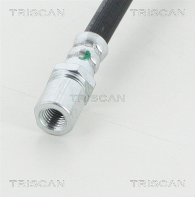 FURTUN FRANA
