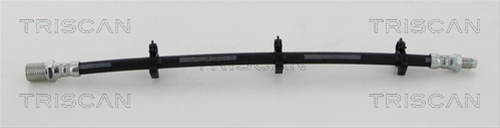 FURTUN FRANA