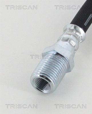 FURTUN FRANA