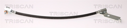 FURTUN FRANA