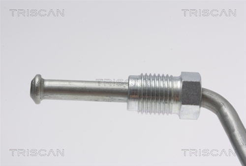 FURTUN FRANA