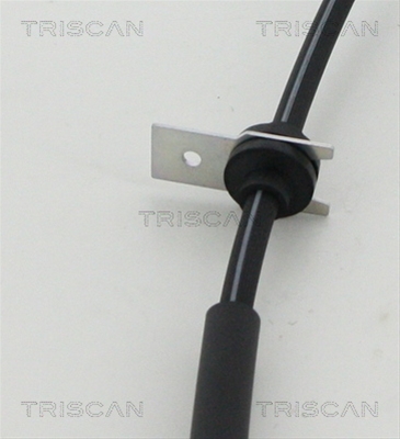 FURTUN FRANA