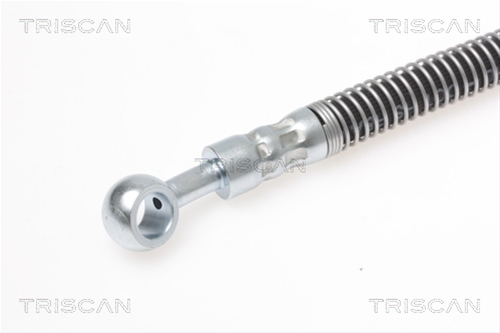 FURTUN FRANA