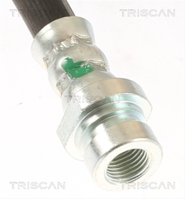 FURTUN FRANA