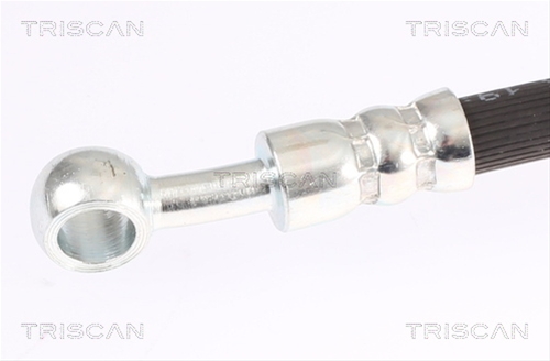 FURTUN FRANA