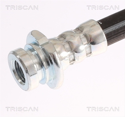 FURTUN FRANA