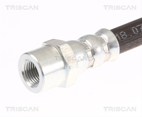 FURTUN FRANA