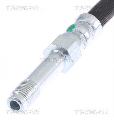 FURTUN FRANA
