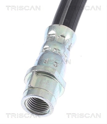 FURTUN FRANA