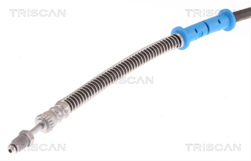 FURTUN FRANA