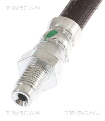 FURTUN FRANA