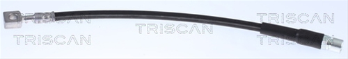 FURTUN FRANA