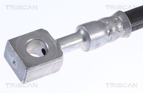 FURTUN FRANA