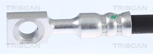 FURTUN FRANA