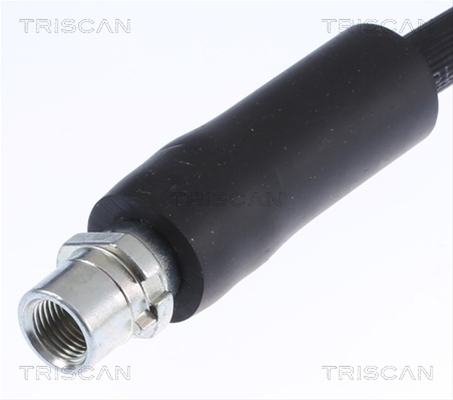 FURTUN FRANA