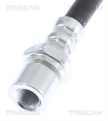FURTUN FRANA