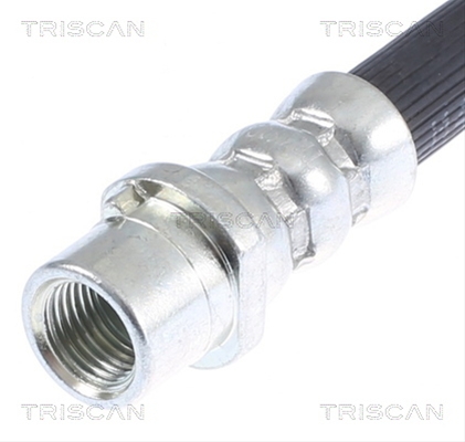 FURTUN FRANA
