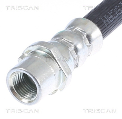 FURTUN FRANA