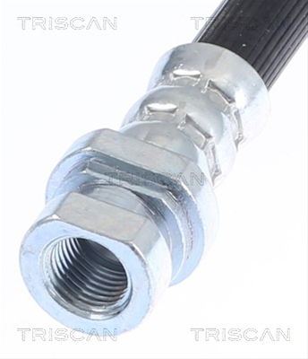 FURTUN FRANA