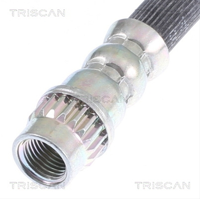 FURTUN FRANA