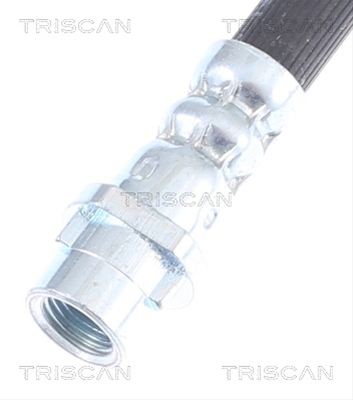 FURTUN FRANA